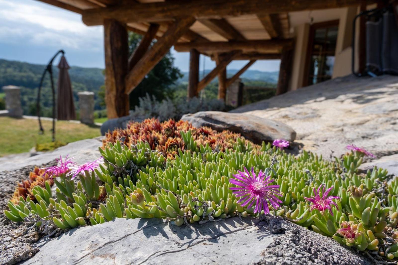 Zerko Holiday Home - Vineyard Chalet With Sauna And Jacuzzi Free Mirna Exterior photo